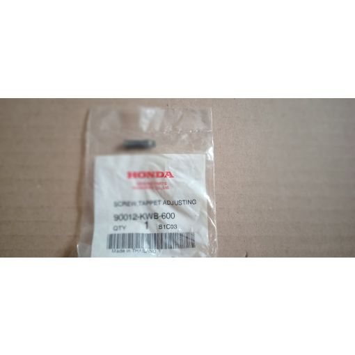 Регулировочный винт клапанов Aprilia Leonardo 250-300